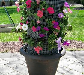 how to make a diy flower tower for your backyard or porch, container gardening, diy, flowers, gardening, how to, Petunia flower tower it will look even better when the flowers fill in I used an inexpensive plastic pot for this project