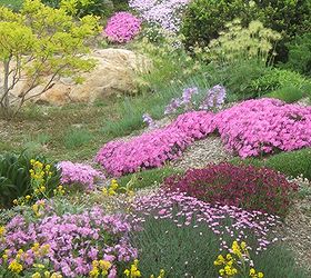 rock garden tips and plants, flowers, gardening, Rock Gardens can be very colourful especially in the spring Elysium Gardens