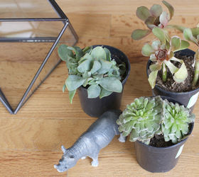 make your own terrarium in 7 simple steps, container gardening, crafts, flowers, gardening, succulents, terrarium