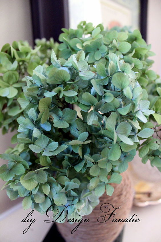 secar hortensias, Las hortensias de color p rpura azul se desvanecen a un azul claro y algunas a un verde claro