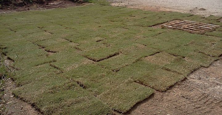 for diy homeowners this is one pallet of medium heavy bermuda sod mid south ga, gardening, landscape