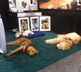 Thought I would share 2 photos from the Canine Assistants booth at the Home Show.