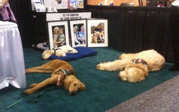 Thought I would share 2 photos from the Canine Assistants booth at the Home Show.