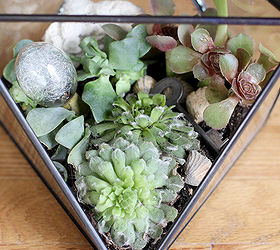 make your own terrarium in 7 simple steps, container gardening, crafts, flowers, gardening, succulents, terrarium