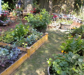 my backyard garden, flowers, gardening, outdoor living, More veggies
