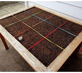 raised garden bed organic salad table 2012, container gardening, diy, flowers, gardening, raised garden beds, Now that we have the Garden Stamp we are setting aside the yardstick and extra ribbon to focus on planting square foot patterns of edible color
