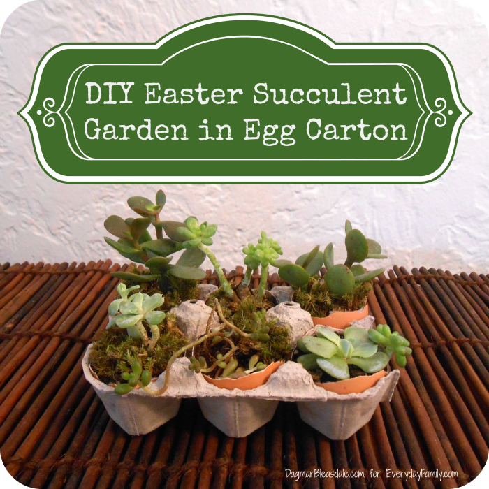 egg carton diy, 3 Miniature succulent garden in an egg carton
