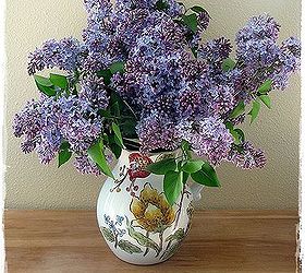 lilacs, gardening, Overflowing in vases