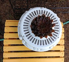 planter from a ceiling fan housing, flowers, gardening, repurposing upcycling, succulents, Top view of ceiling fan housing planter