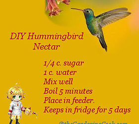 diy home made hummingbird nectar, pets animals