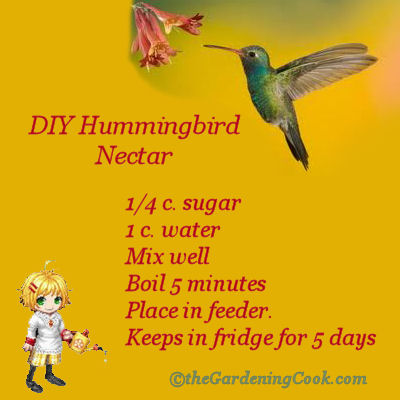 diy home made hummingbird nectar, pets animals