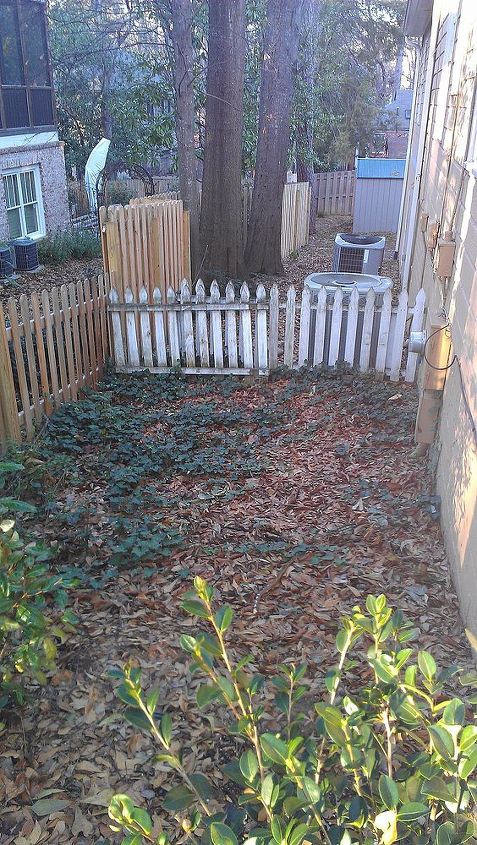 need ideas for neglected part of yard, gardening, landscape, View from the front corner of the house down toward the picket fence You can t see it well in the picture but the ground slopes down from here