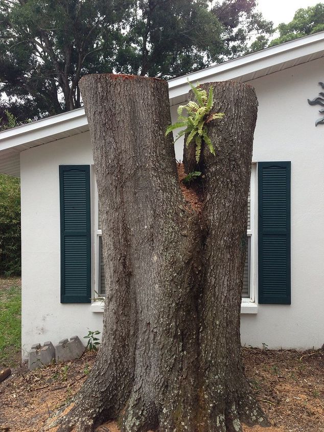 ideas de la decoracion para un tocon grande del arbol