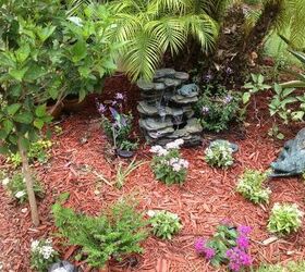 is it any wonder why iove my home and love living on florida i can, gardening, landscape