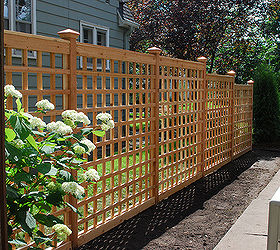 expert advice for building a lattice trellis in your garden, diy, gardening, how to, landscape, outdoor living, These trellises can make a privacy wall Photo Field Outdoor Spaces Flickr