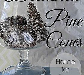 bleached pine cones, crafts, 5 Fill a vase a bowl or make ornaments with these beauties