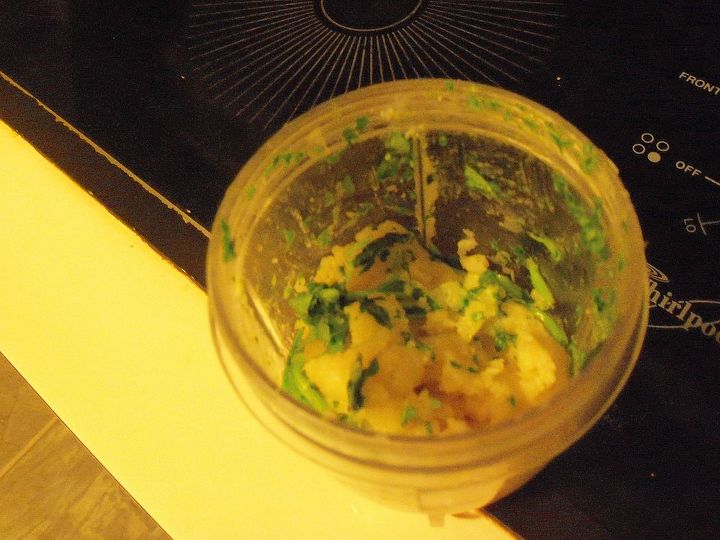comer capuchina una planta comestible en mi jardn, mezclando la pasta con la capuchina