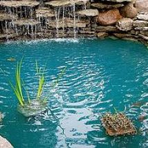 ponds water features, outdoor living, ponds water features, Blue water Dye added to pond to help control the alge