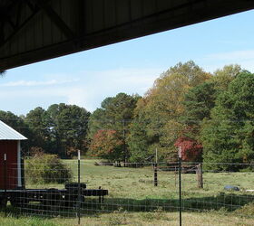 fall in rural north alabama, flowers, landscape, outdoor living, Across the pasture