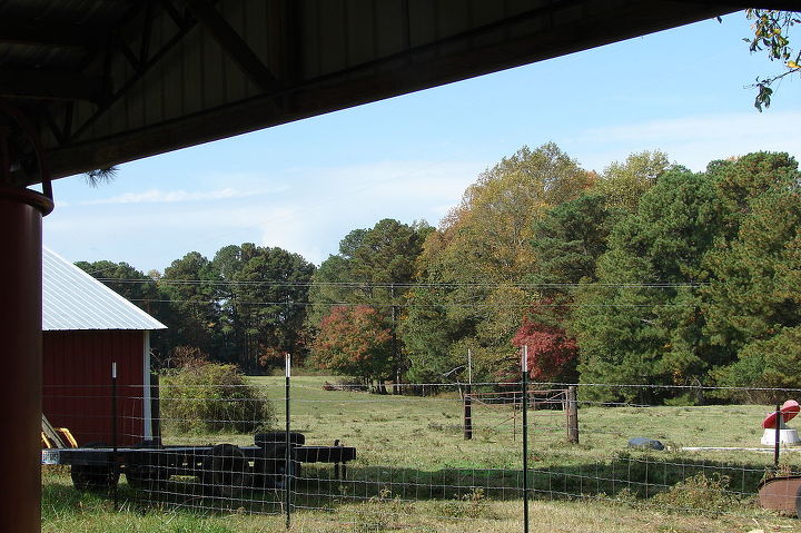 fall in rural north alabama, flowers, landscape, outdoor living, Across the pasture