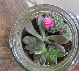 rustic succulent terrarium, crafts, flowers, gardening, mason jars, succulents, terrarium, The final product on the wall Looks right at home