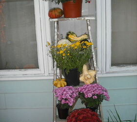 my halloween decorating so far, curb appeal, flowers, halloween decorations, seasonal holiday decor, Mums on ladder and gourds
