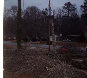 tree removal, The guys did a great job and worked between the power lines