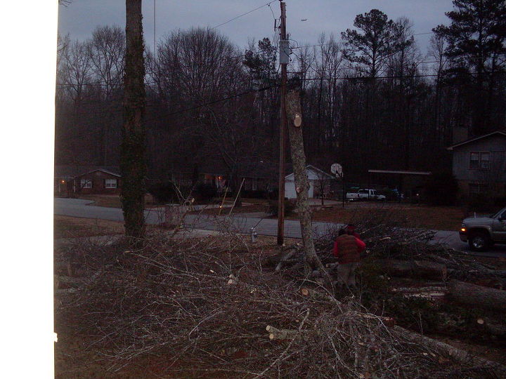 tree removal, The guys did a great job and worked between the power lines