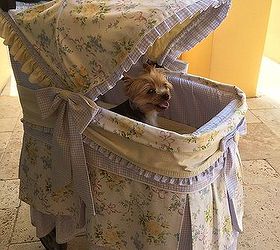 shabby chic pampered pet stroller, pets animals, repurposing upcycling