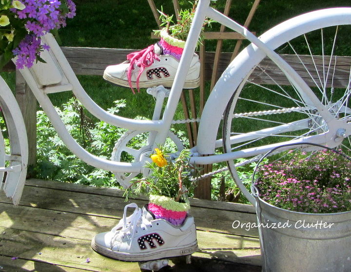 adicione uma bicicleta ao jardim apenas por diverso, Rosas de musgo plantadas no velho Etnies da minha filha