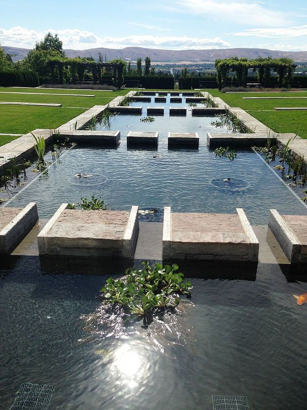 aquatic planting in a formal water feature by bluecreek, landscape, ponds water features, Initial planting finished