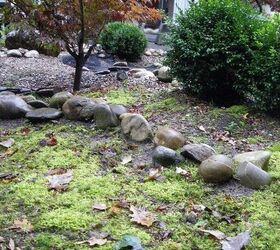 hans pardoel gardens, gardening, Stones give so much character to a Zen garden