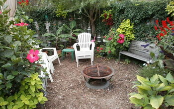 This area of our yard was just turf nothing else.I planted curly willow, varieties of hosta's ferns,pots on the fence.