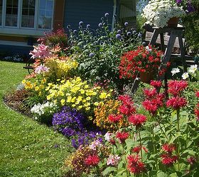 fertilizer tips tricks that work for me, container gardening, flowers, gardening, landscape, perennial, I fertilize my garden beds like this every week and for me these tips work