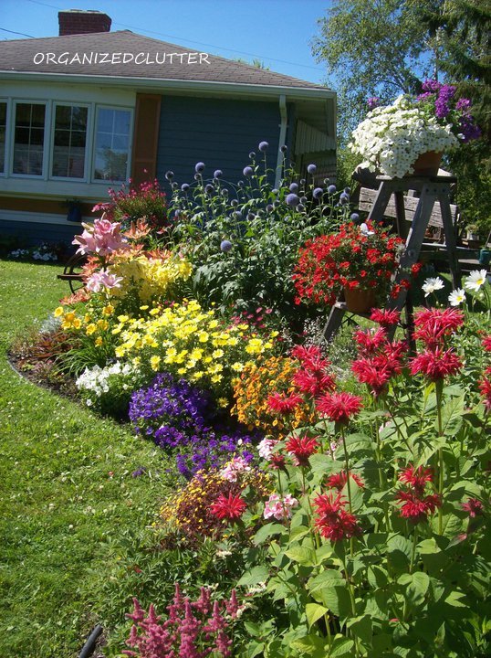 fertilizer tips tricks that work for me, container gardening, flowers, gardening, landscape, perennial, I fertilize my garden beds like this every week and for me these tips work