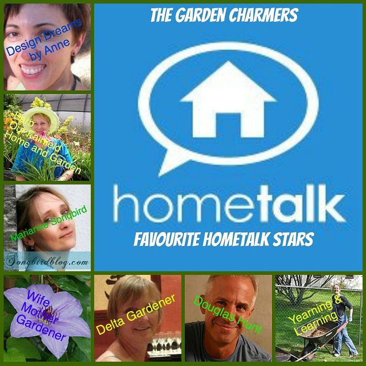 the garden charmers favourite hometalk stars, gardening
