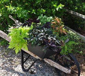garden tour a landscape in vignettes, gardening, landscape, outdoor living, ponds water features, A wheelbarrow planter