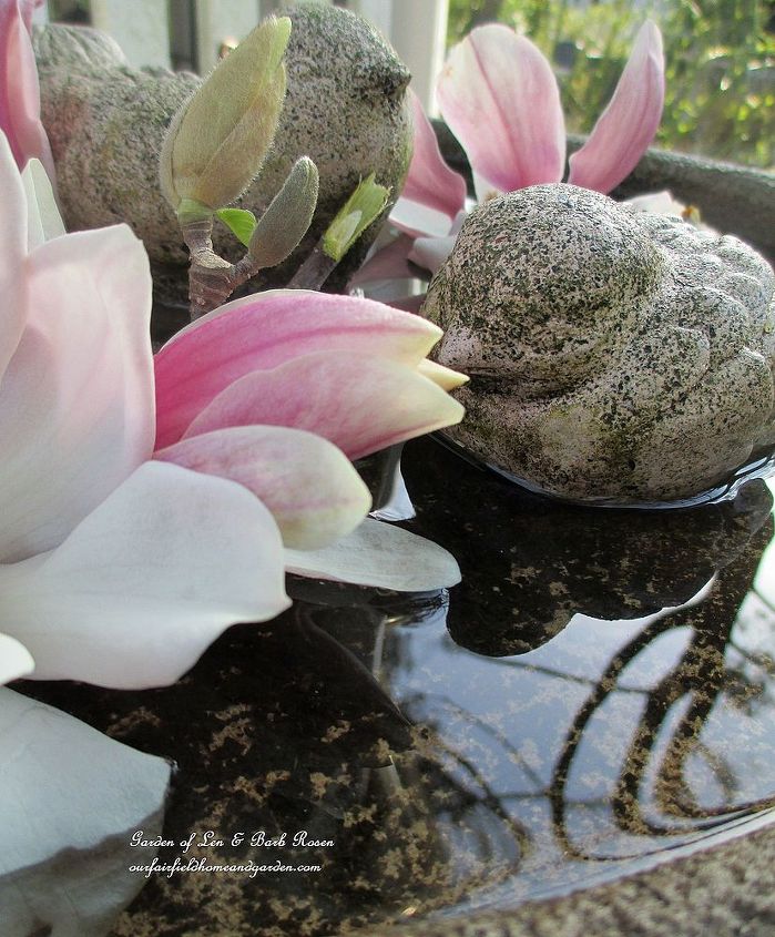 spring is blossoming, gardening, Stone birds Tulip Magnolia blooms