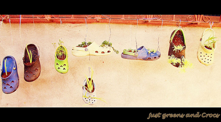 old and worn out crocs repurposed as planters, gardening, repurposing upcycling