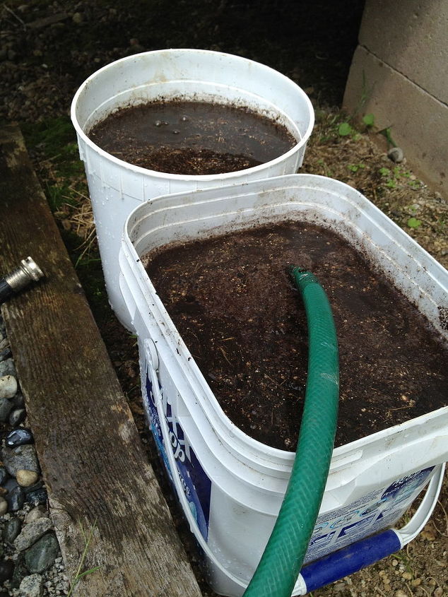 compost tea, container gardening, gardening, Add water and let sit for 3 4 days