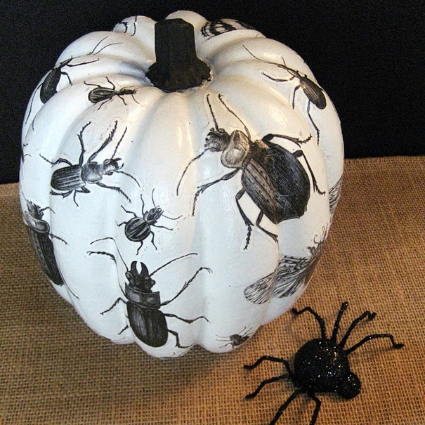 black white buggy all over my d coupage insect pumpkin, crafts, decoupage, seasonal holiday decor, This decoupage insect pumpkin is fun and easy to make