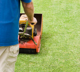 how to maintain your newly installed lawn, landscape
