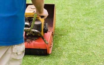 How To Maintain Your Newly Installed Lawn