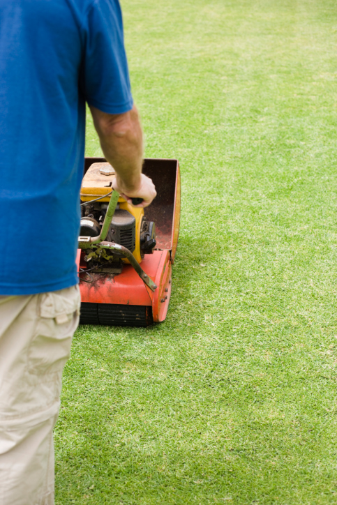 how to maintain your newly installed lawn, landscape