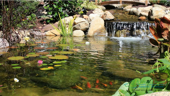 ecosystem pond ideas, go green, ponds water features, Ecosystem Fish Pond Paramus NJ