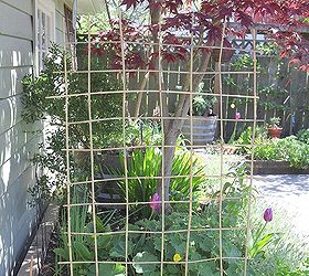 making a woven trellis, gardening, Keep going until you have a complete and very sturdy trellis