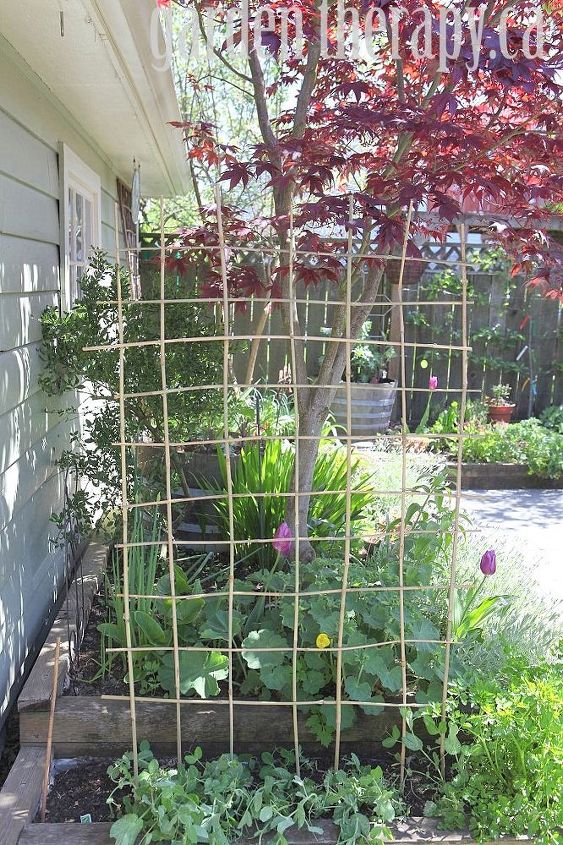 making a woven trellis, gardening, Keep going until you have a complete and very sturdy trellis