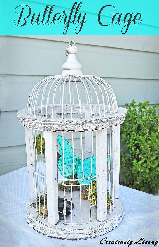 butterfly cage, gardening