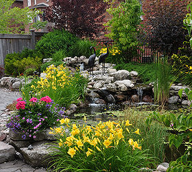 water features big and small to inspire you, gardening, landscape, ponds water features, Though this pond looks expansive this is actually a modest sized suburban backyard