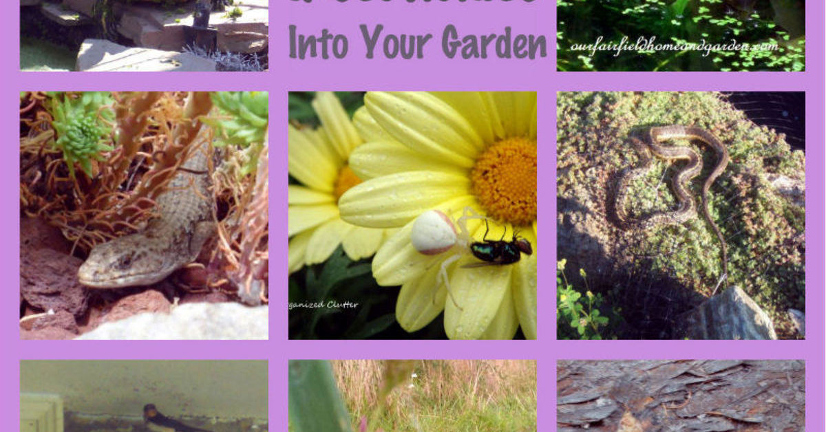 Nature S Insecticides Hometalk